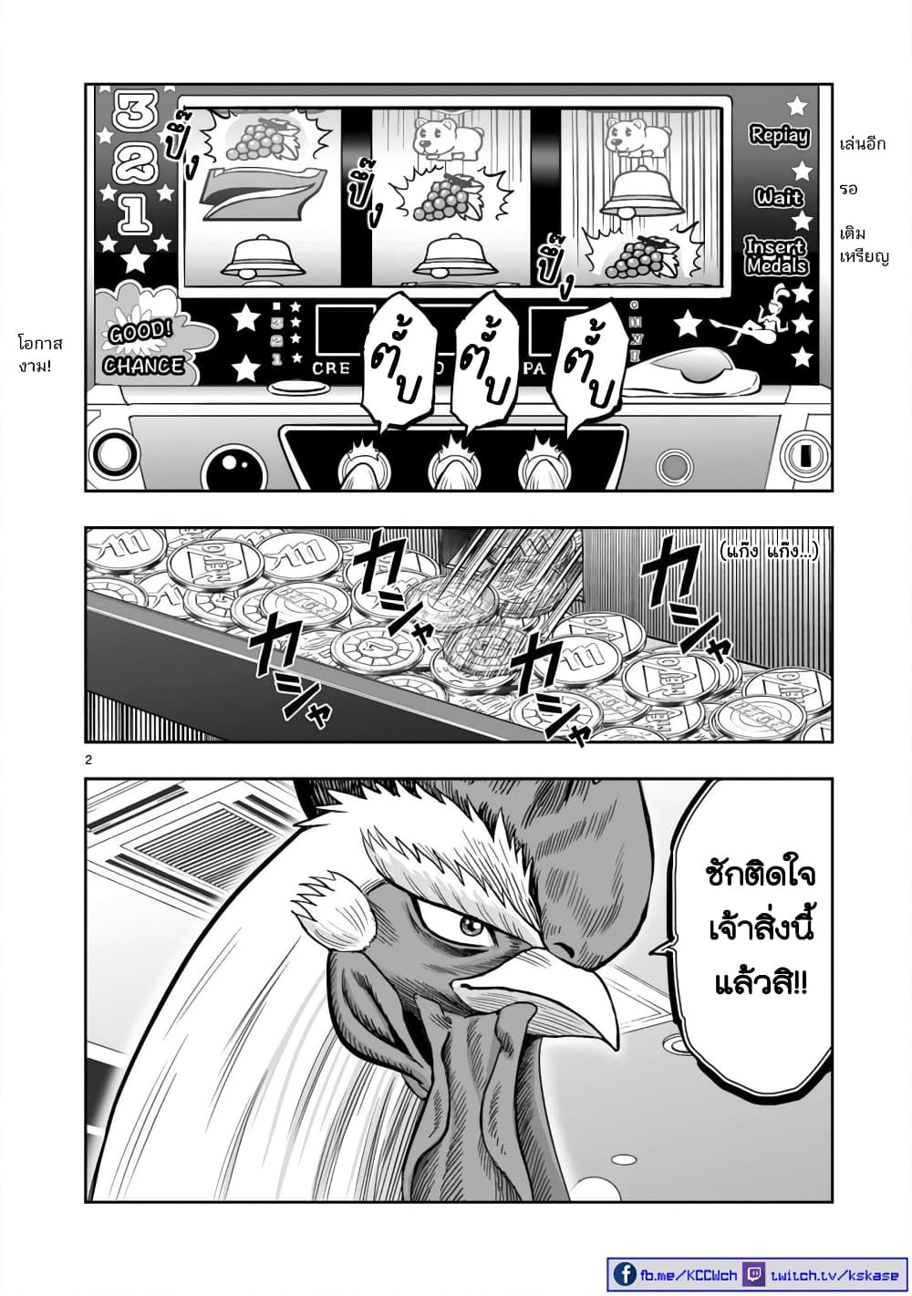 Rooster Fighter 12 (2)